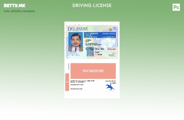 Шаблон за верзија на возачка дозвола од САД Делавер во модерен стил